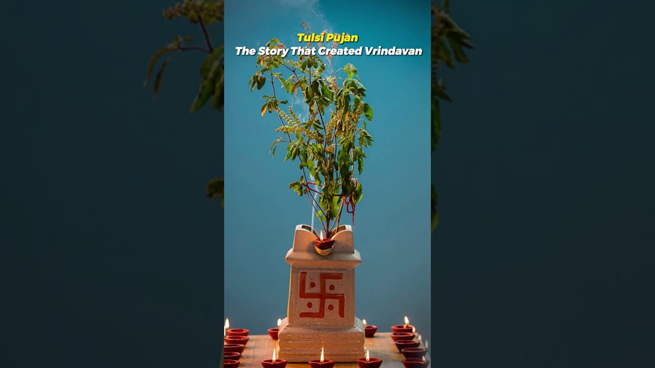 Tulsi Pujan